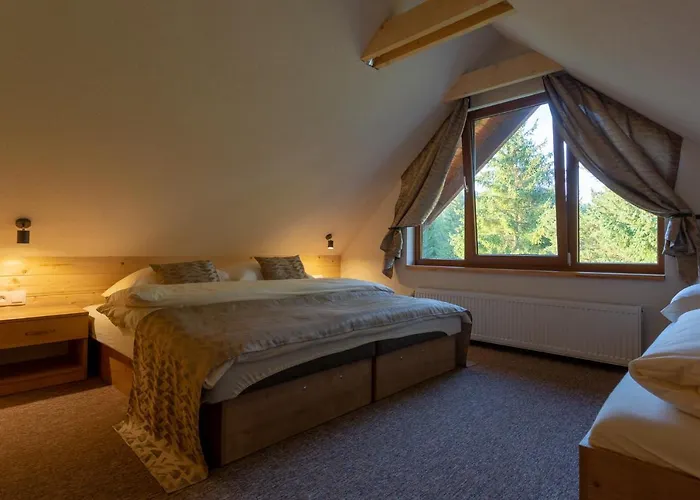 A Studia Flora 利托福卡西尼克